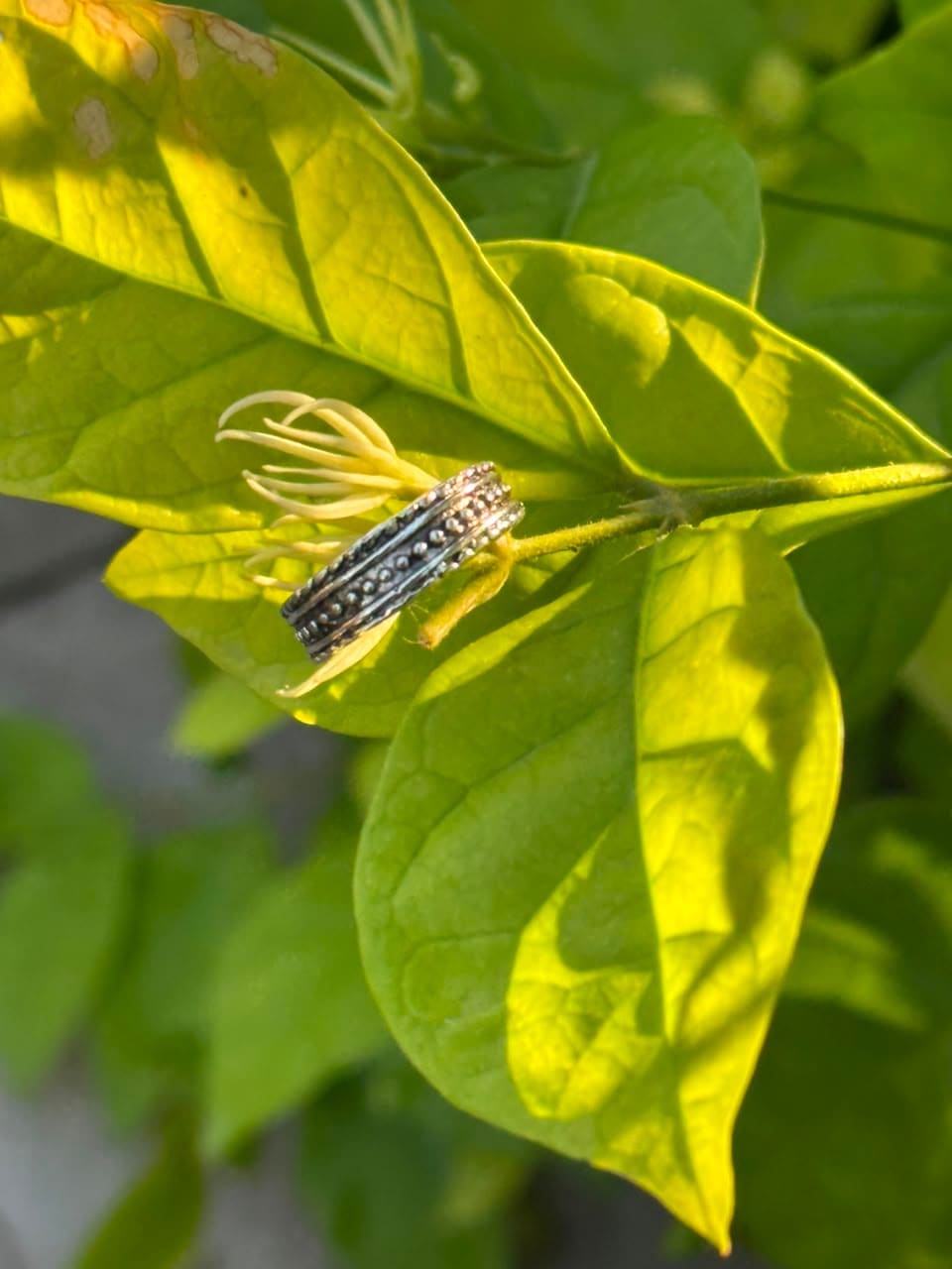 Tribal Luxe Ring