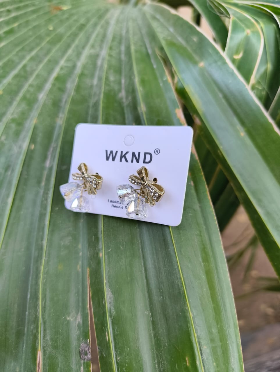 Premium Finish Earrings
